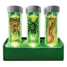 Glow critter lab kit with three green test tubes on a base