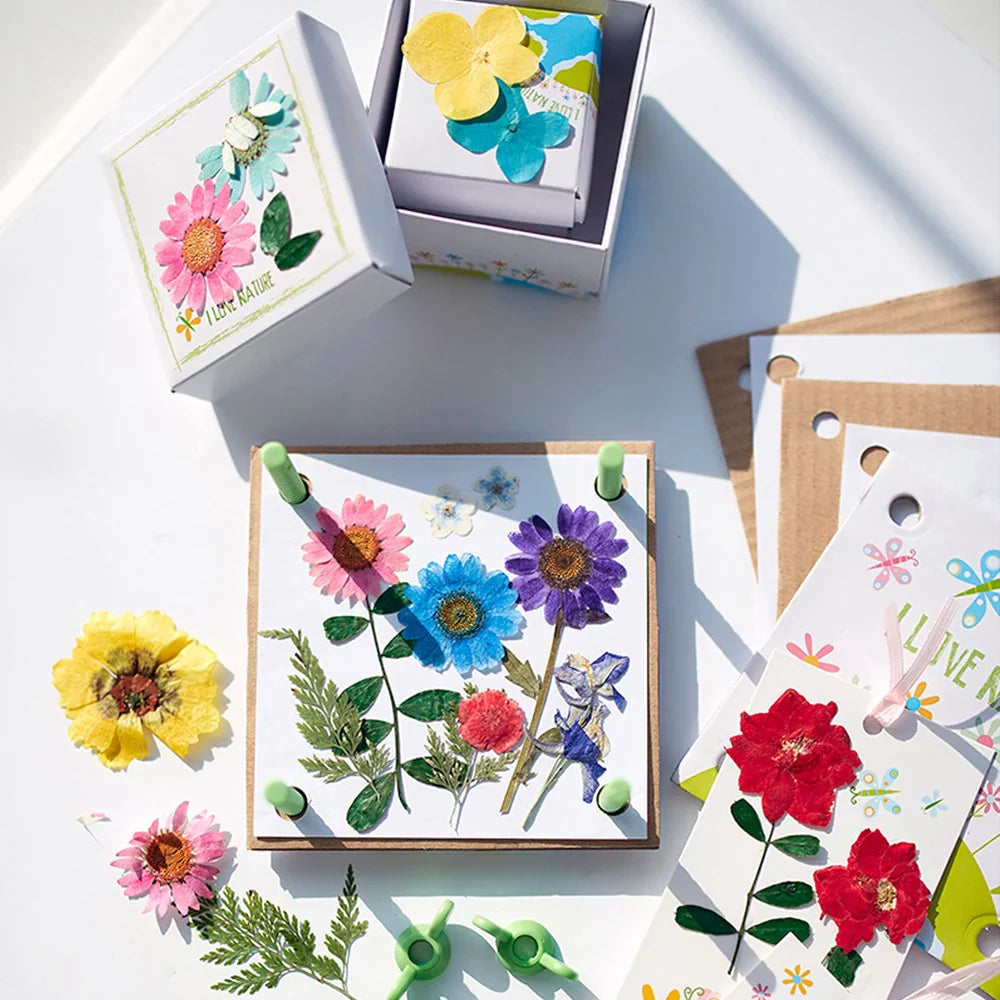Lavender 4M Green Science Pressed Flower Art Kids Activities