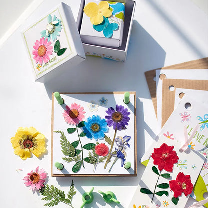 Lavender 4M Green Science Pressed Flower Art Kids Activities