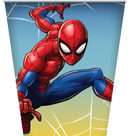 Black Marvel Spiderman Party Tableware Bundle for 8 Kids Custom Bundle