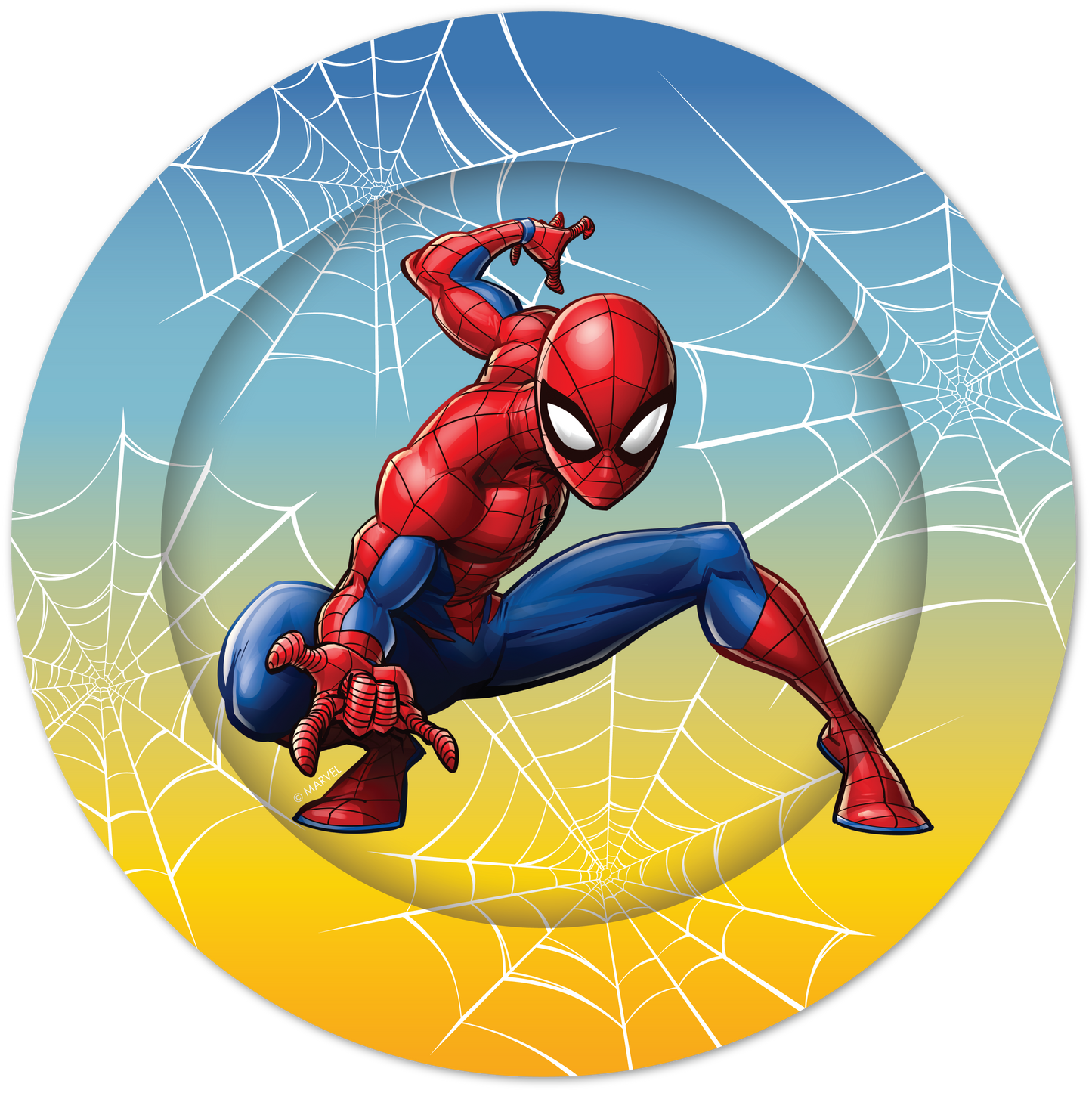 Black Marvel Spiderman Party Tableware Bundle for 8 Kids Custom Bundle