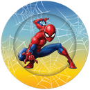 Black Marvel Spiderman Party Tableware Bundle for 8 Kids Custom Bundle