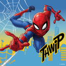 Cadet Blue Marvel Spiderman Party Tableware Bundle for 8 Kids Custom Bundle