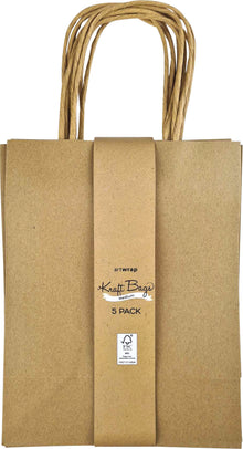 White Smoke Kraft Gift Bags, Medium w178x h228/ x d102mm, 5Pk Xmas
