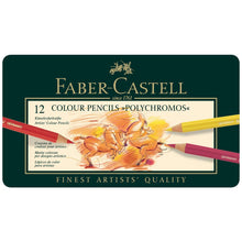Black Polychromos Colour Pencil Assorted, Tin of 12 Pencils