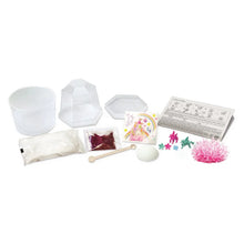 Unicorn crystal terrarium kit contents: molds, powders, tools, and instructions