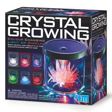 Crystal growing color-changing light-up display case kit box with crystal images