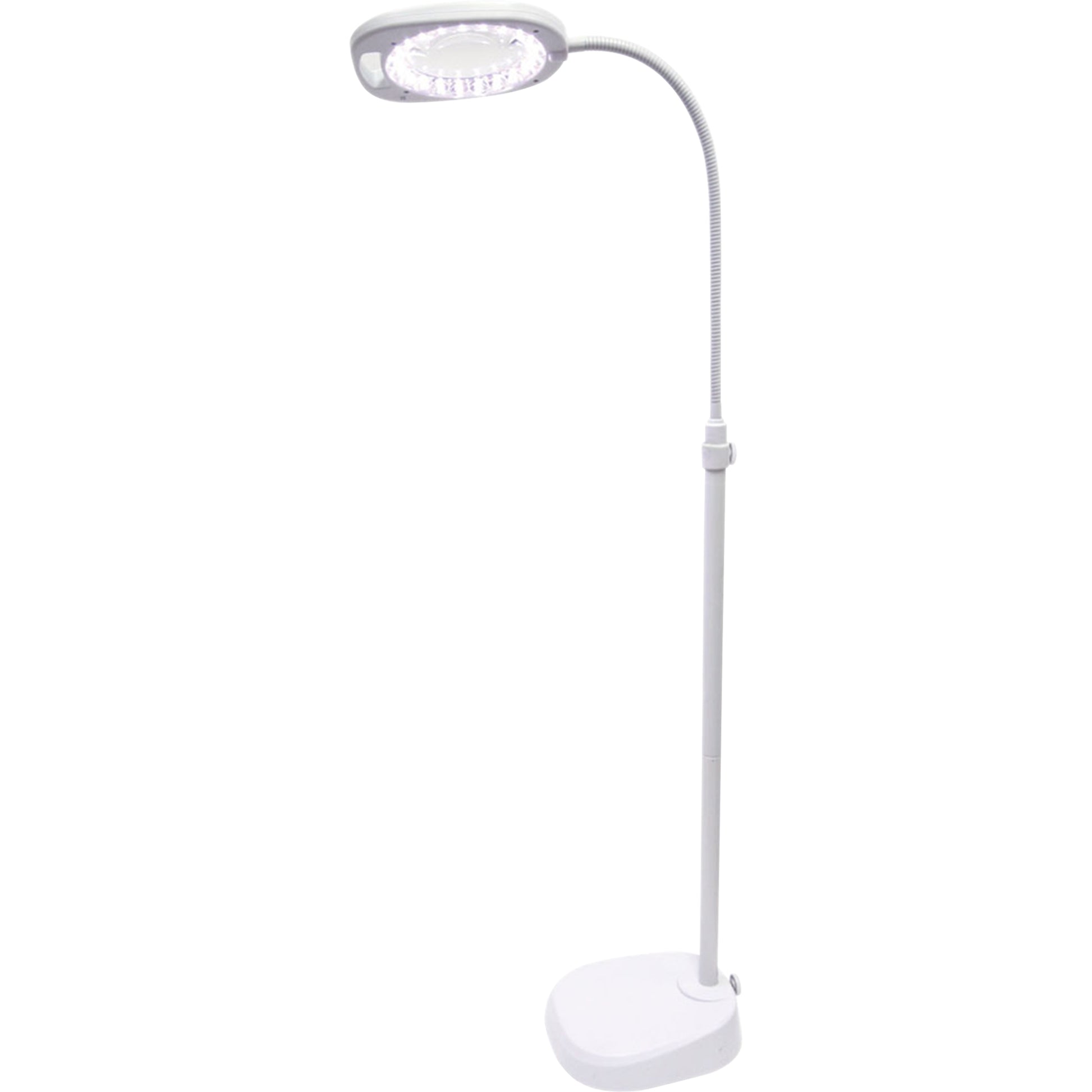 White Smoke Triumph Arch LED Magnifier Floor or Desk Lamp, White Lighting