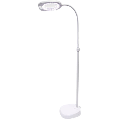 White Smoke Triumph Arch LED Magnifier Floor or Desk Lamp, White Lighting
