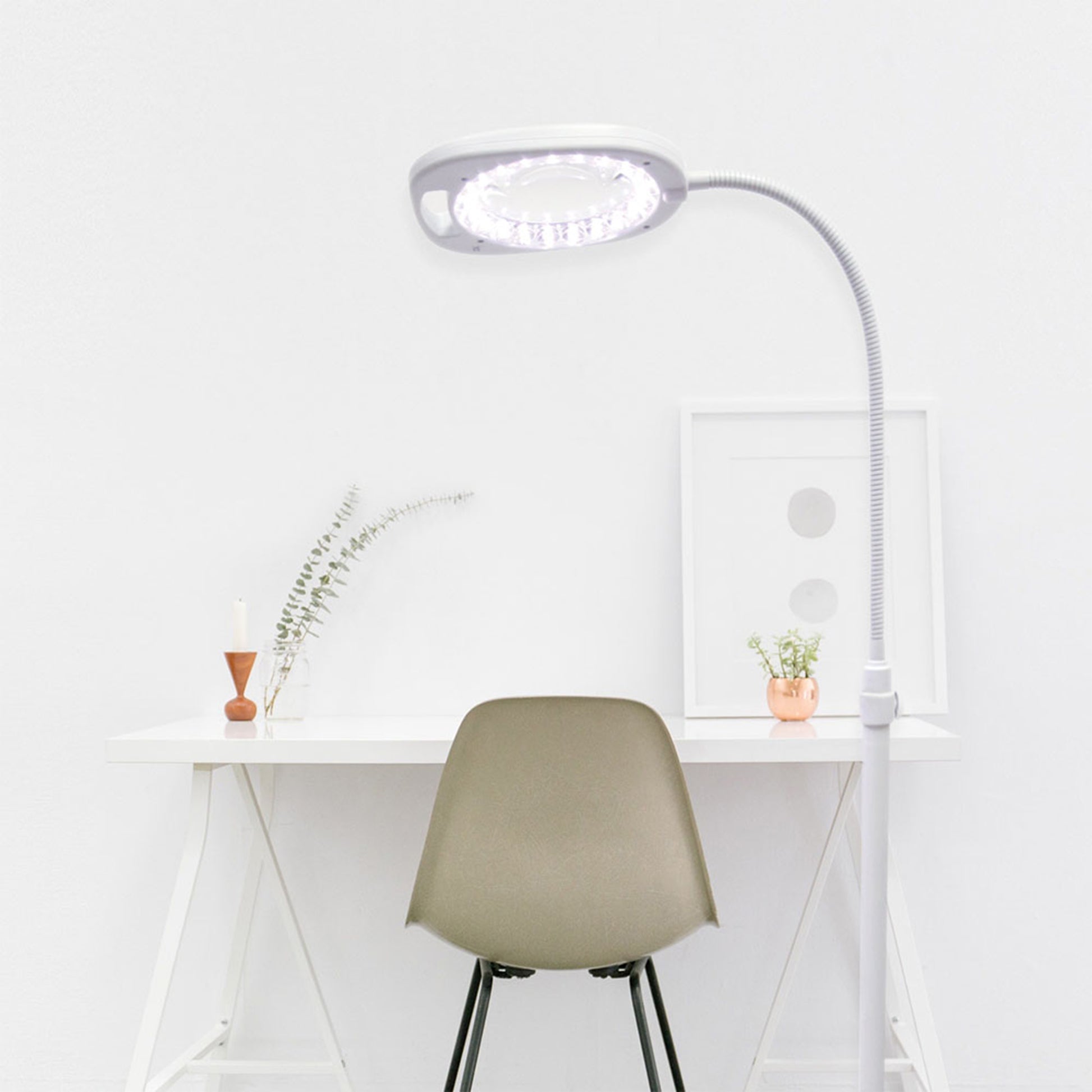 Lavender Triumph Arch LED Magnifier Floor or Desk Lamp, White Lighting
