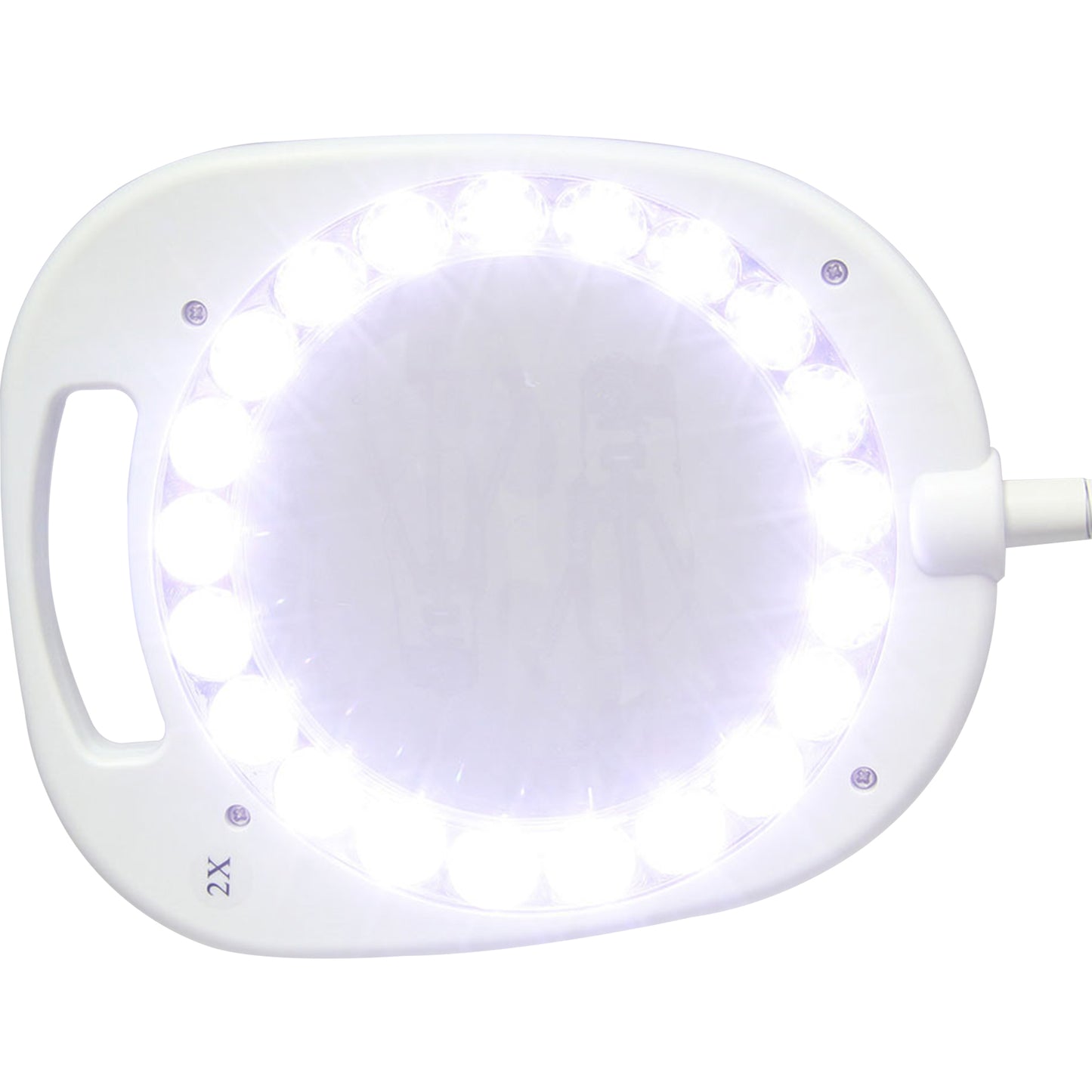 White Smoke Triumph Arch LED Magnifier Floor or Desk Lamp, White Lighting
