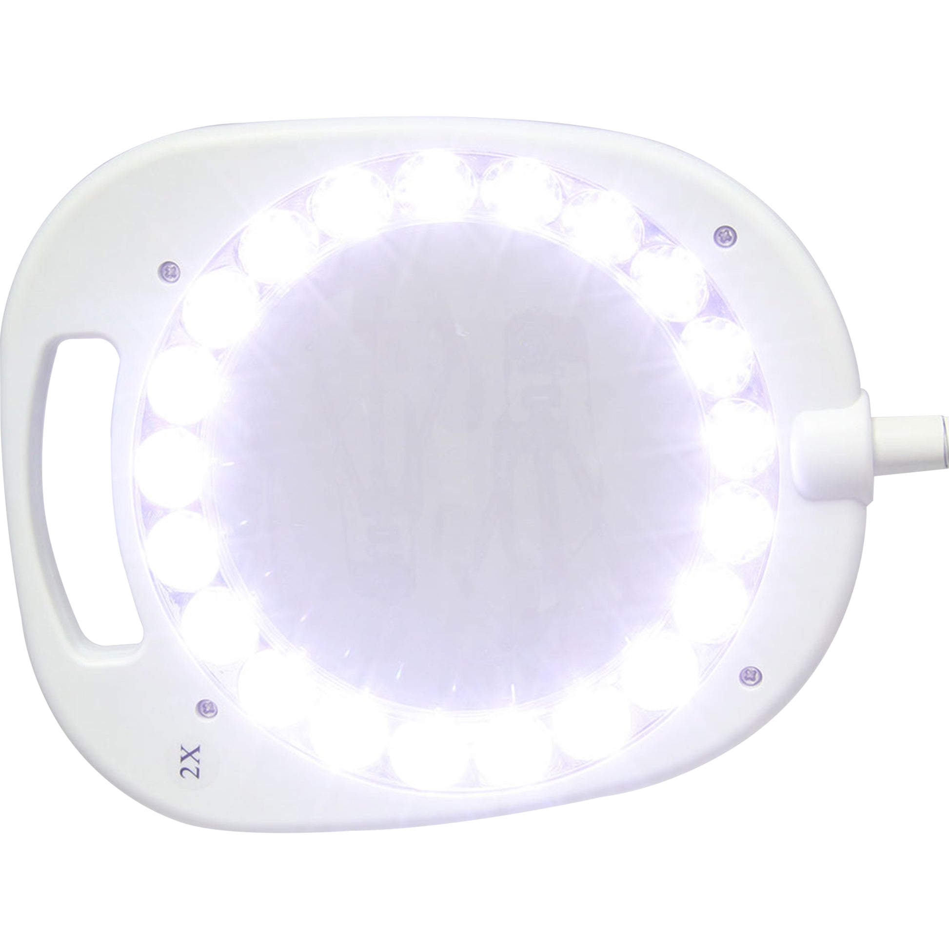 White Smoke Triumph Arch LED Magnifier Floor or Desk Lamp, White Lighting