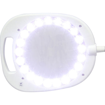 White Smoke Triumph Arch LED Magnifier Floor or Desk Lamp, White Lighting