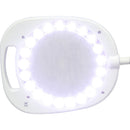 White Smoke Triumph Arch LED Magnifier Floor or Desk Lamp, White Lighting