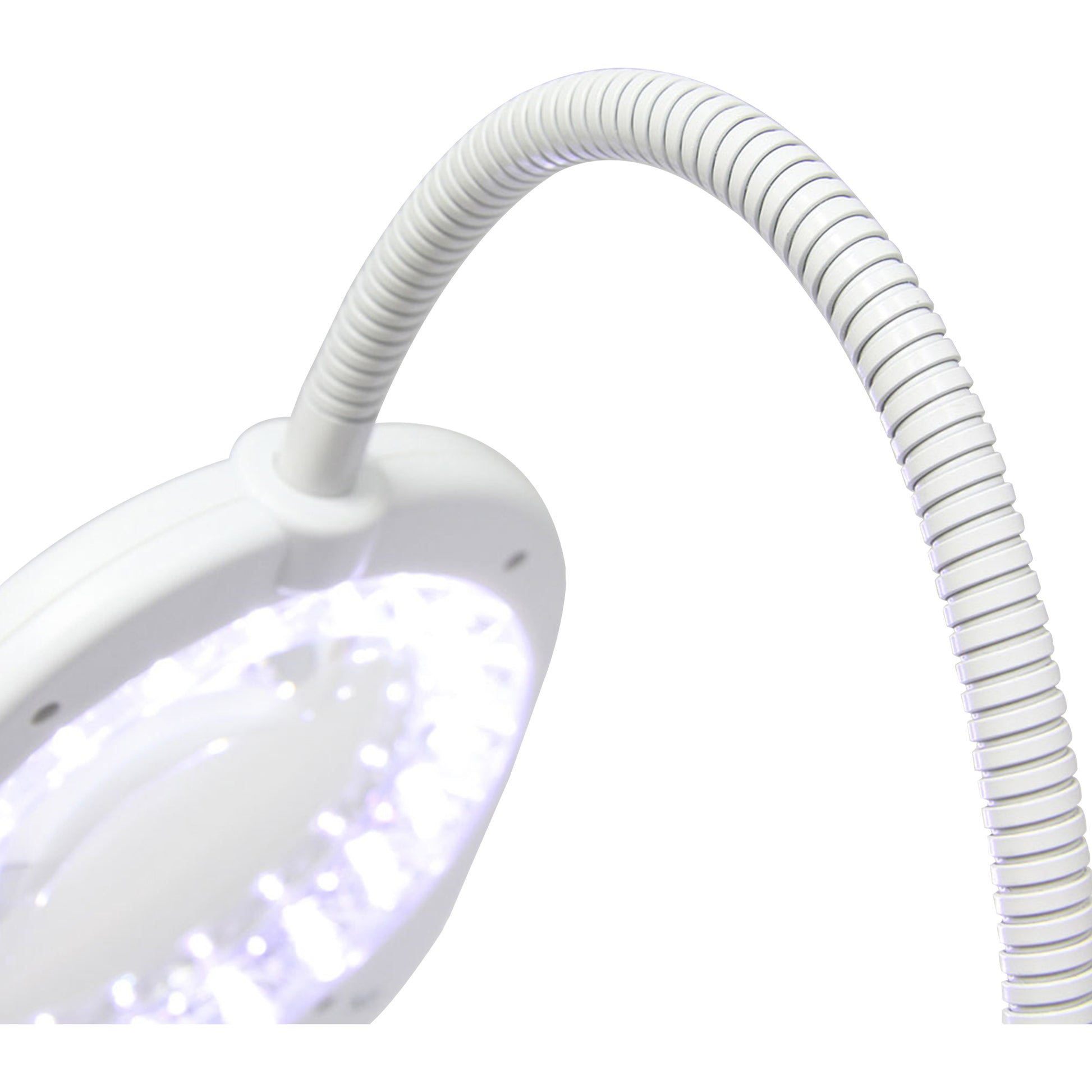 White Smoke Triumph Arch LED Magnifier Floor or Desk Lamp, White Lighting