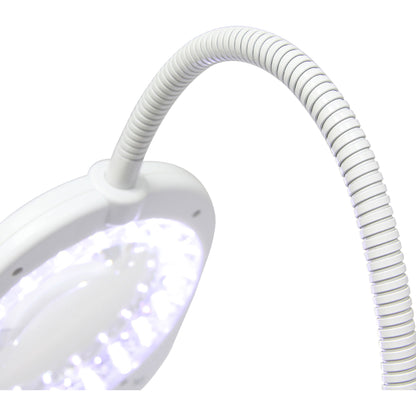 White Smoke Triumph Arch LED Magnifier Floor or Desk Lamp, White Lighting