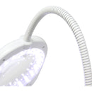 White Smoke Triumph Arch LED Magnifier Floor or Desk Lamp, White Lighting