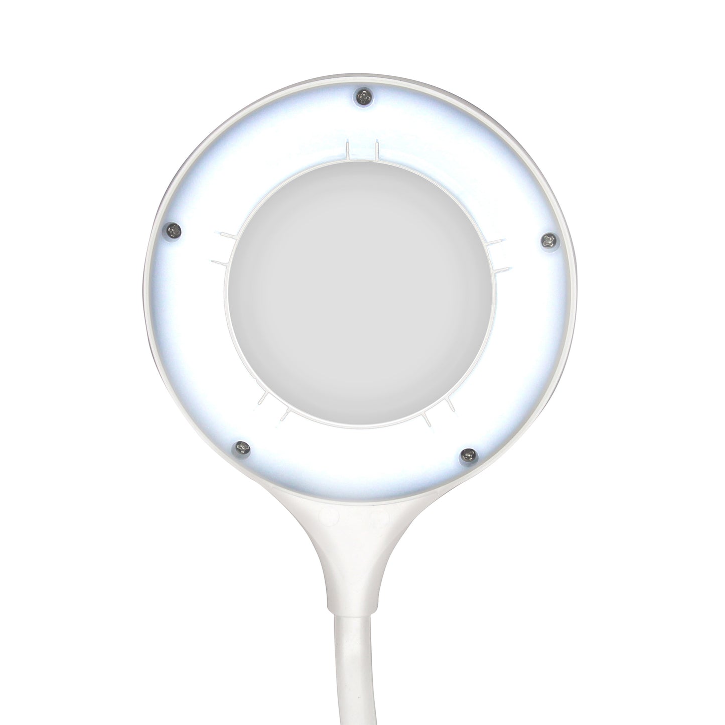 White Smoke Triumph Zoom Desktop Magnifying Lamp, White Lighting
