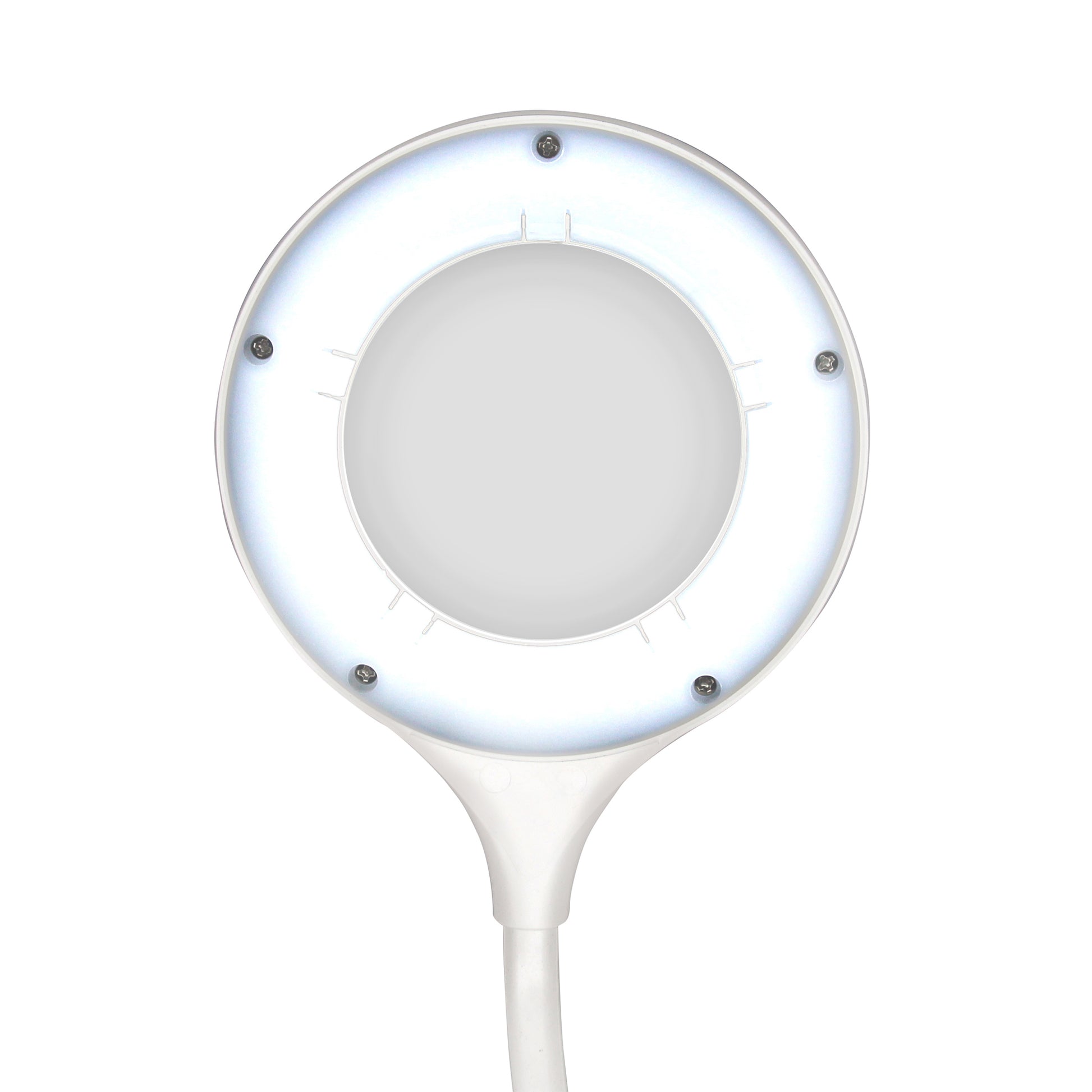 White Smoke Triumph Zoom Desktop Magnifying Lamp, White Lighting