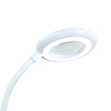 White Smoke Triumph LED Rechargeable Magnifying Desk Lamp, White Lighting