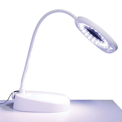 White Smoke Triumph Arch LED Magnifier Floor or Desk Lamp, White Lighting