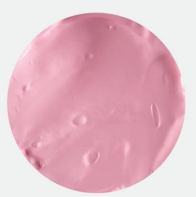 Rosy Brown EC Rainbow Paint 250ml Pink Kids Paints
