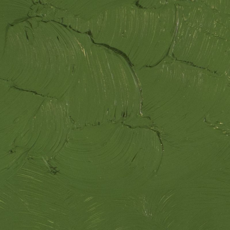 Gamblin 1980 Oil Paint, Chromium Oxide Green, S2, 37ml