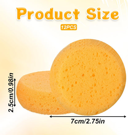 White Smoke Paint Sponge, 12 Pcs Orange Round Painting Sponges 3 Inch Artist Pottery Sponge Applicator Watercolor Sponges for Face Painting Pottery Art Crafts Ceramics Painting Accessories