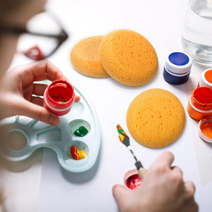 White Smoke Paint Sponge, 12 Pcs Orange Round Painting Sponges 3 Inch Artist Pottery Sponge Applicator Watercolor Sponges for Face Painting Pottery Art Crafts Ceramics Painting Accessories