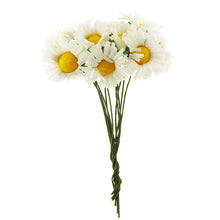 White Smoke Flower Daisy White 10Pcs Floral Accessories