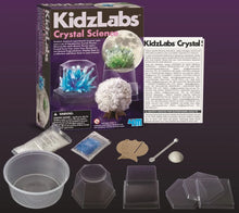 Crystal science kit box and accessories with molds, tray, and beads