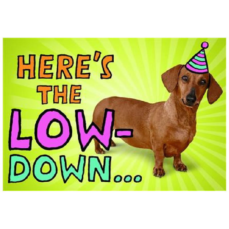 Light Goldenrod Hallmark Interactive Sound Card Sausage Dog Bags & Invitation