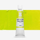 Gold Art Spectrum Oil Paint 40mL Vibrant Green S2 Oil Paints