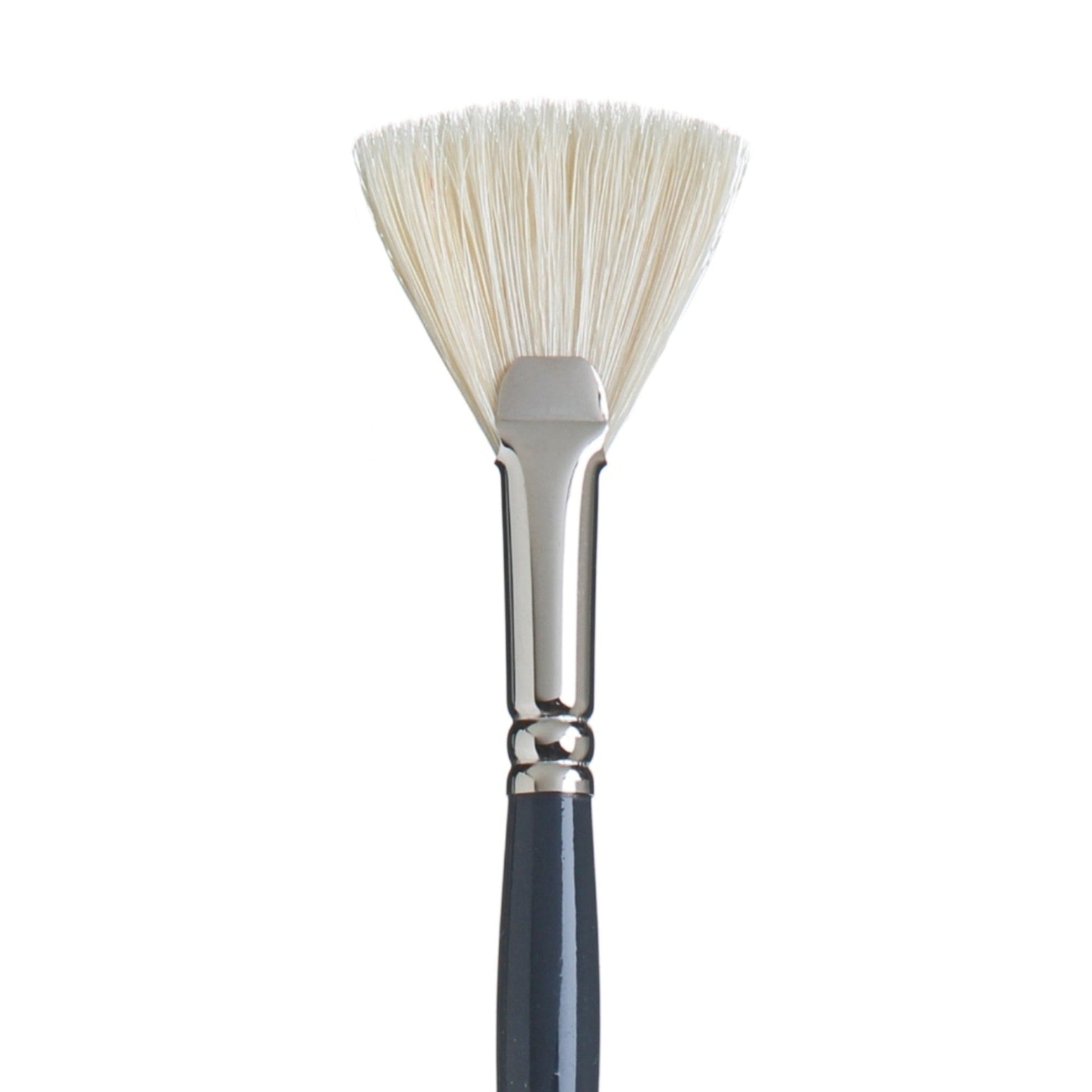 White Smoke Princeton Snap 9700 Natural Long Handle Brush, Fan Size 6 Paint Brushes