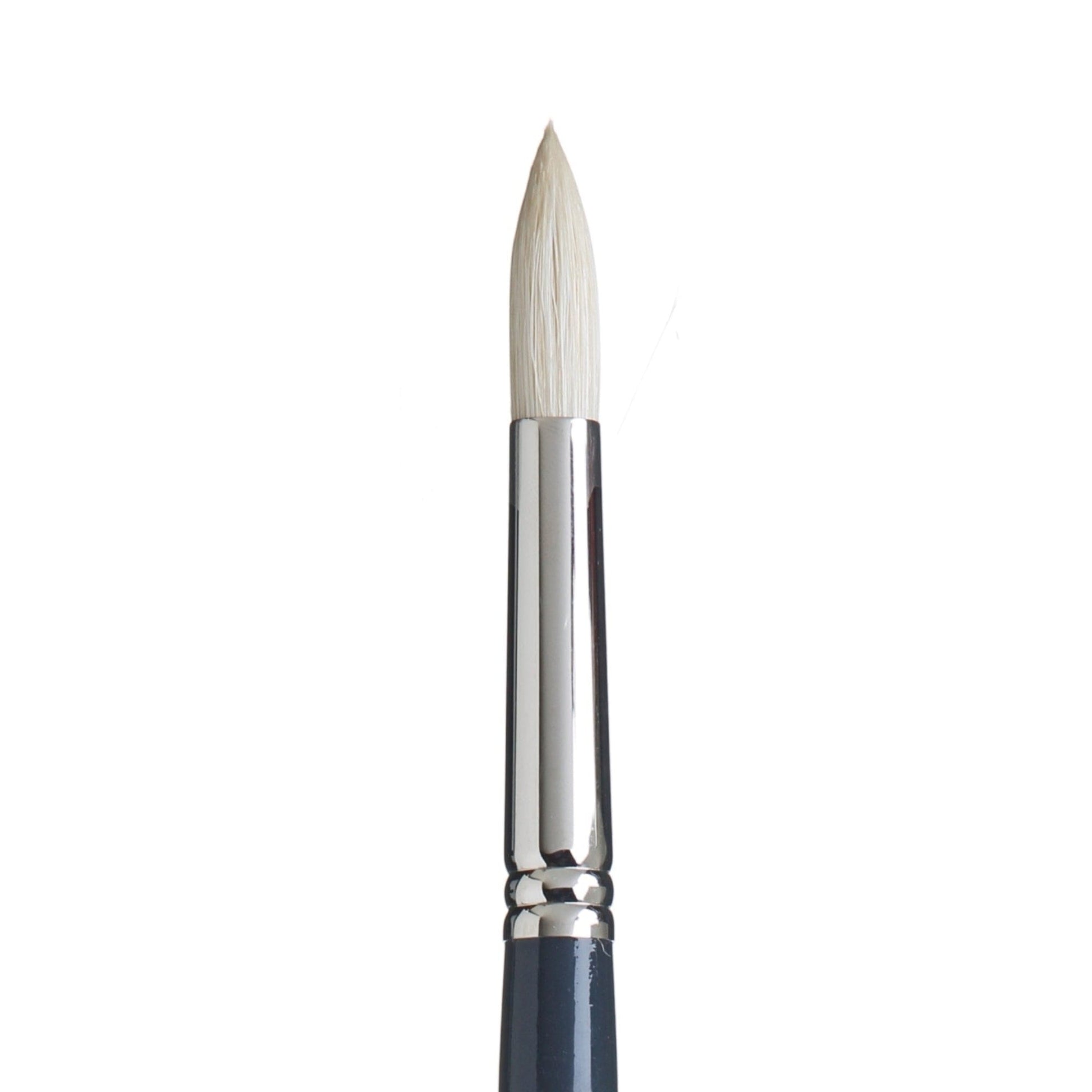White Smoke Princeton Snap 9700 Natural Long Handle Brush, Round Size 8 Paint Brushes