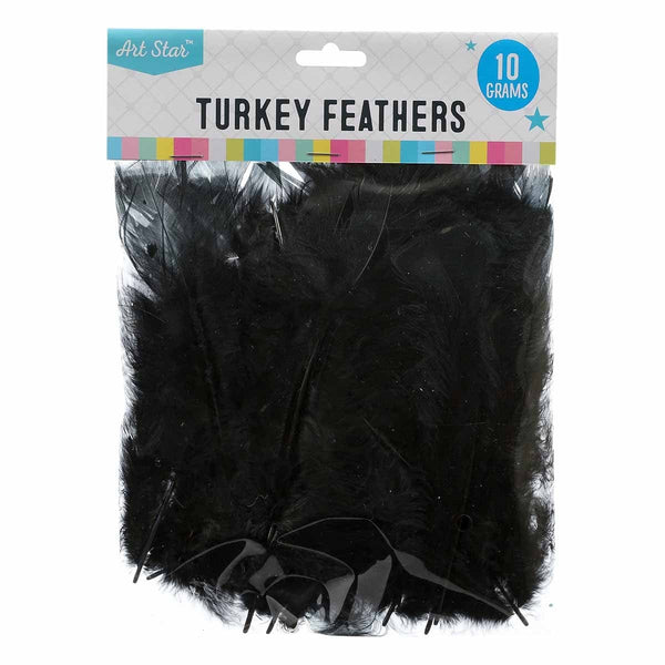 Black Feathers for Craft (8 grams)