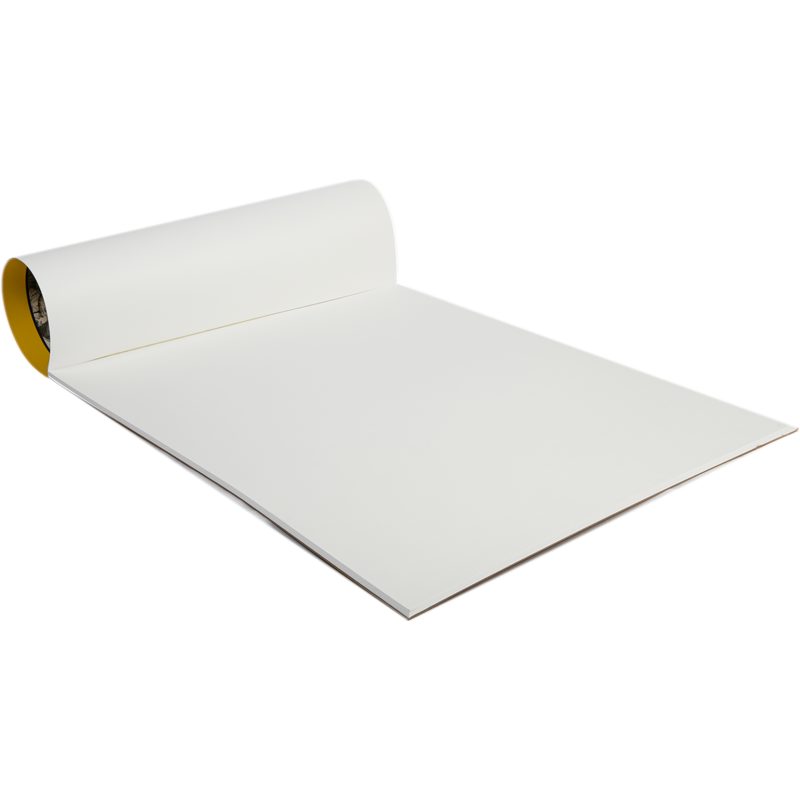 Strathmore Bristol Smooth Paper Pad 19"X24" 20 Sheets