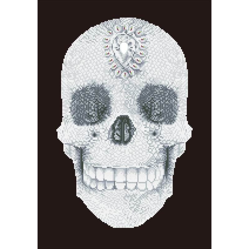 Lavender Diamond Dotz Diamond Embroidery Facet Art Kit 40x50cm 



Crystal Skull Crystal and Diamond Art