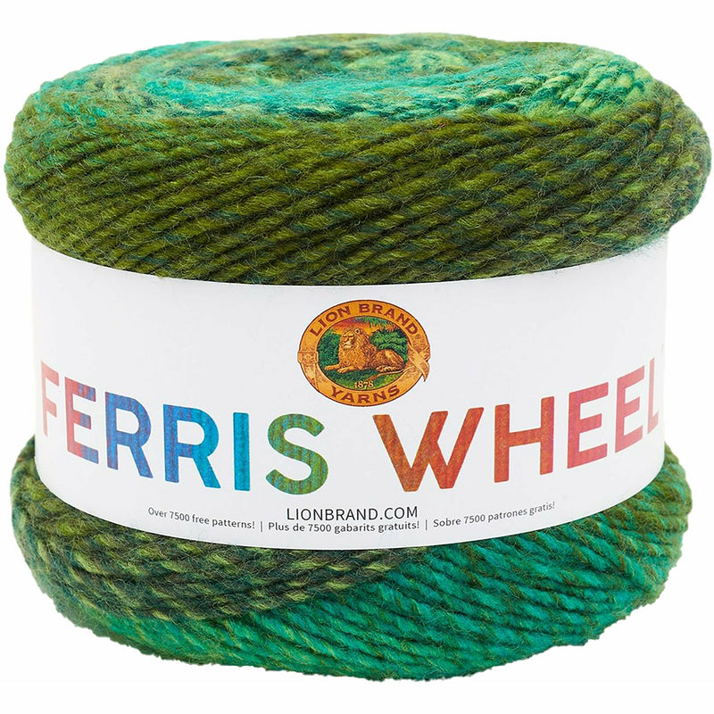 Dark Olive Green Lion Brand Ferris Wheel Yarn  -  Evergreen 85g Knitting and Crochet Yarn