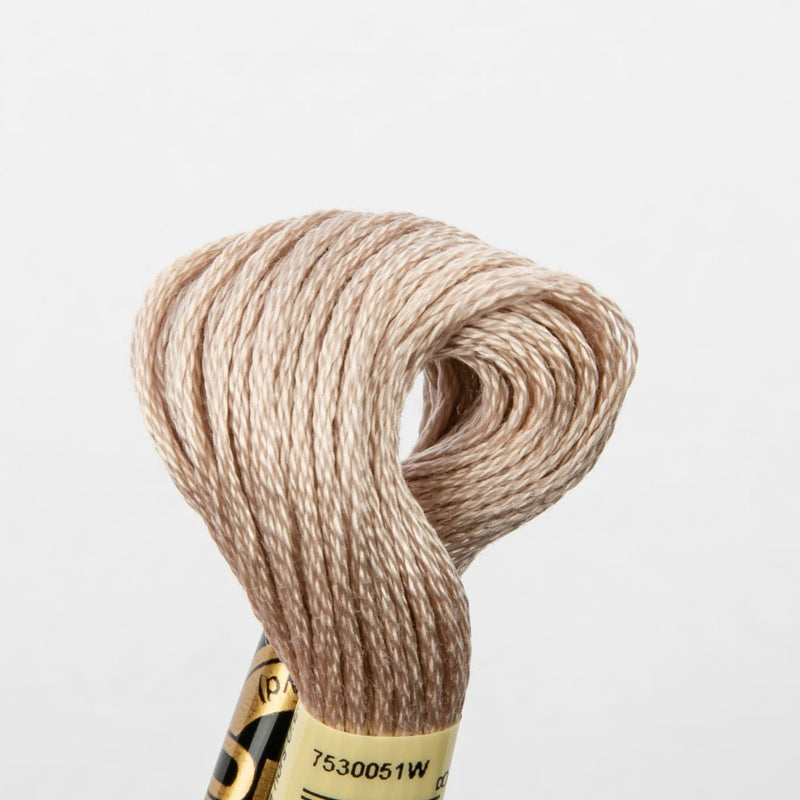 Gray DMC Stranded Cotton Art 117  - 06 Needlework Threads