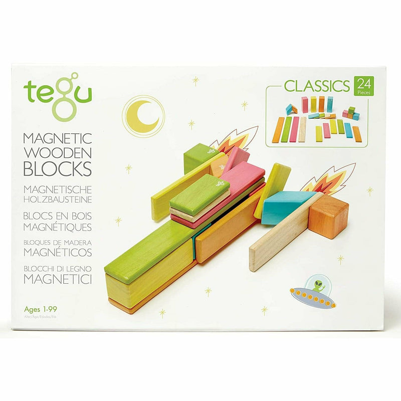 White Smoke Tegu - Magnetic Wooden Blocks Tints 24 piece Kids Educational Games and Toys