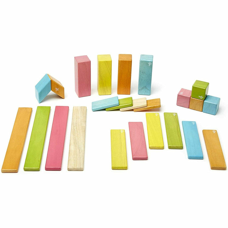 Tan Tegu - Magnetic Wooden Blocks Tints 24 piece Kids Educational Games and Toys