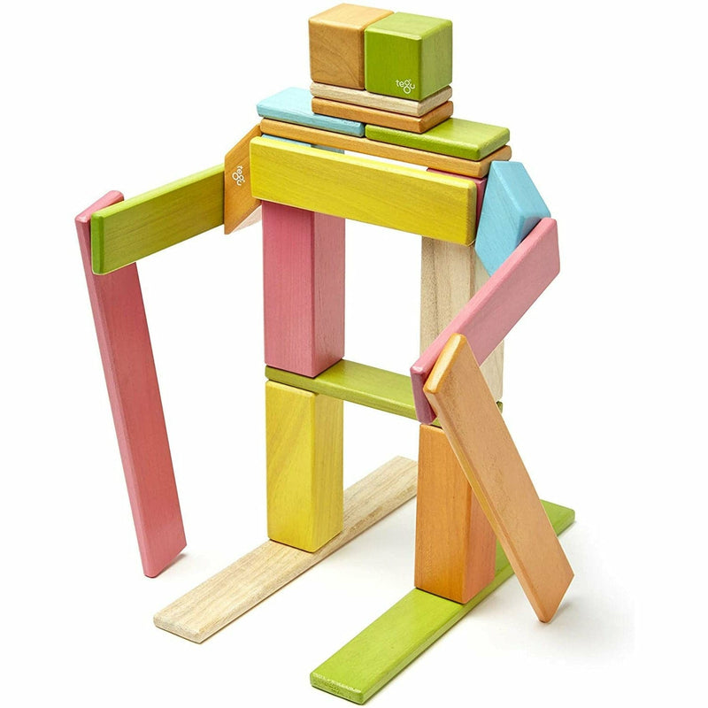 Dark Khaki Tegu - Magnetic Wooden Blocks Tints 24 piece Kids Educational Games and Toys