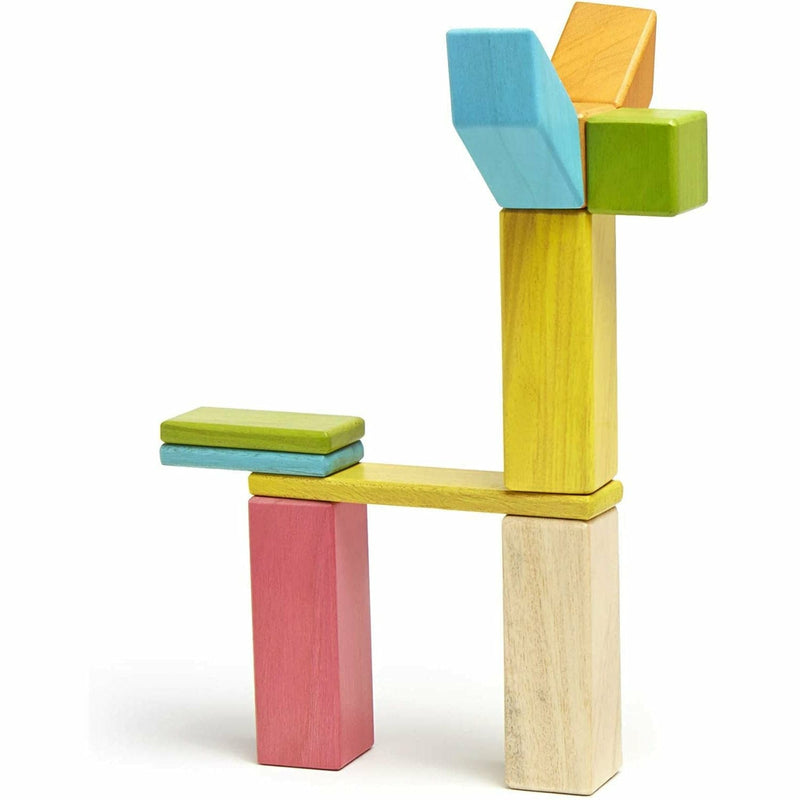 Tegu blocks 24 piece on sale