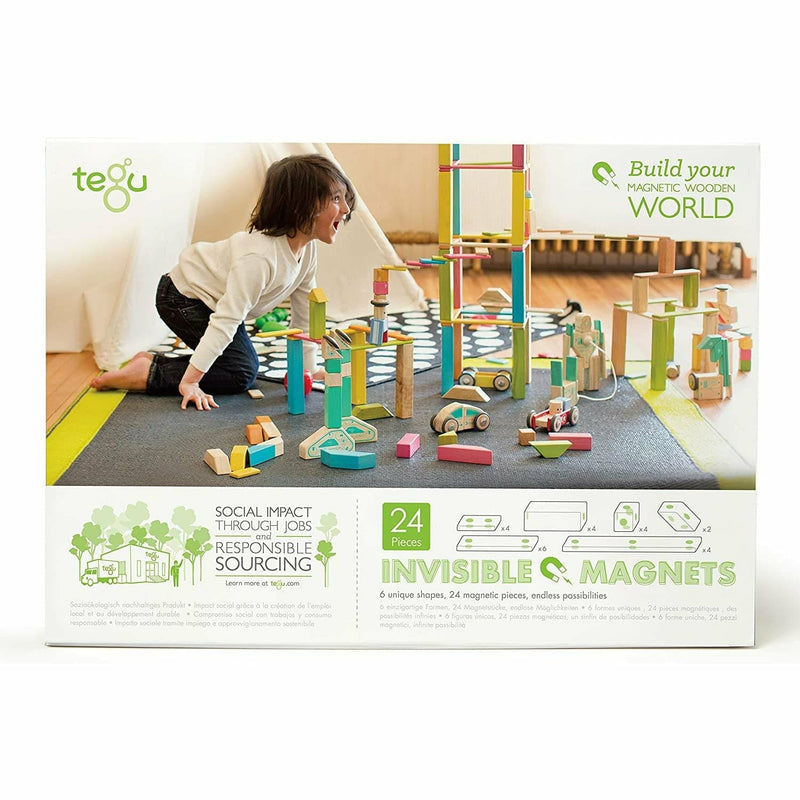 Antique White Tegu - Magnetic Wooden Blocks Tints 24 piece Kids Educational Games and Toys