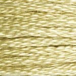Pale Goldenrod DMC Stranded Cotton Art 117  - 3046 Needlework Threads