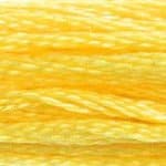 Goldenrod DMC Stranded Cotton Art 117  - 726 Needlework Threads