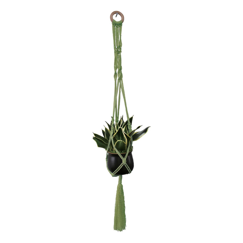Dark Olive Green Macrame Plant Hanger Kit- With Spiral Knot - Green  11X83cm Macrame Kits
