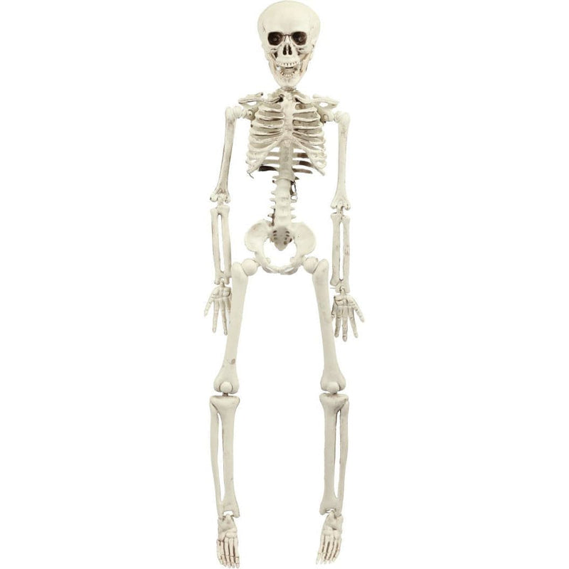 Beige Halloween Hanging Skeleton 42cm Halloween