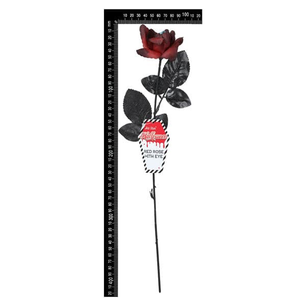 White Smoke Art Star Halloween Red Rose with Eye Halloween